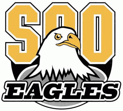 soo eagles 2012 13-pres primary logo iron on heat transfer